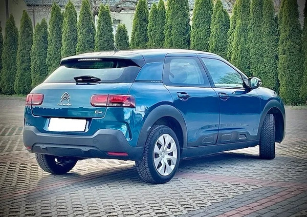 Citroen C4 Cactus cena 49815 przebieg: 55000, rok produkcji 2018 z Białogard małe 277